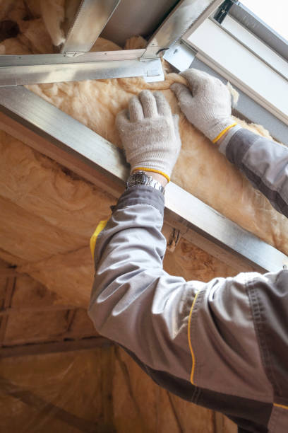 Best Insulation Maintenance and Repair in Chesterfield, SC