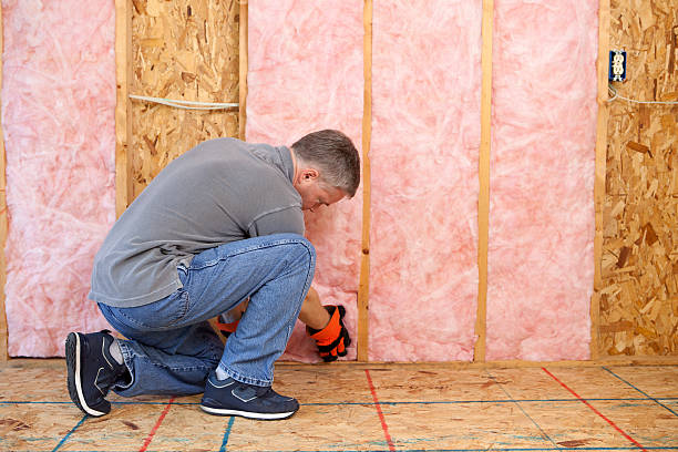 Best Cellulose Insulation in Chesterfield, SC