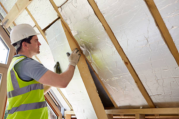 Best Specialized Insulation Services in Chesterfield, SC