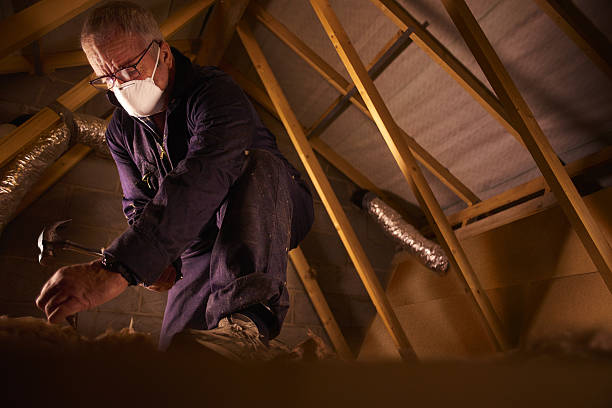 Best Commercial Insulation in Chesterfield, SC